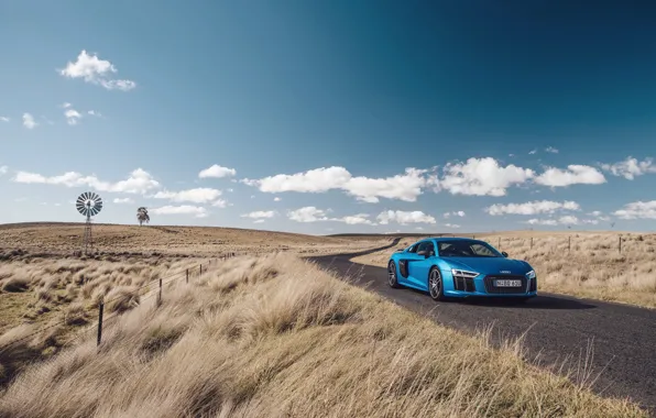 Road, auto, the sky, grass, blue, Audi, Audi, supercar