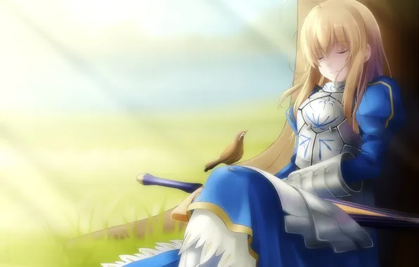 Picture girl, tree, bird, sleep, sword, sleeping, saber, fate stay night