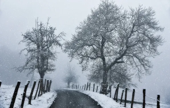 Winter, road, white, snow, trees, branches, black, fence