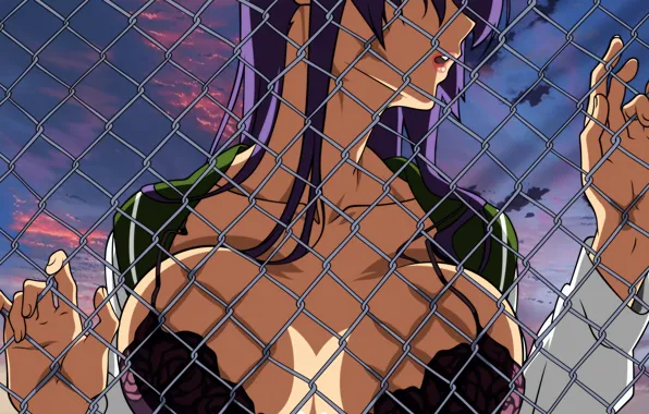 Chest, school uniform, purple hair, Highschool of the Dead, Busujima Saeko
