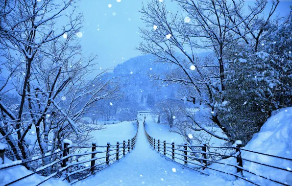 Winter, forest, snow, trees, mountains, snowflakes, bridge, blue