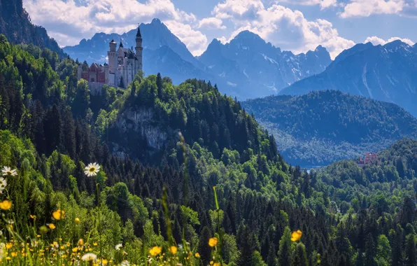 Forest, flowers, mountains, castle, Germany, Bayern, Germany, Bavaria