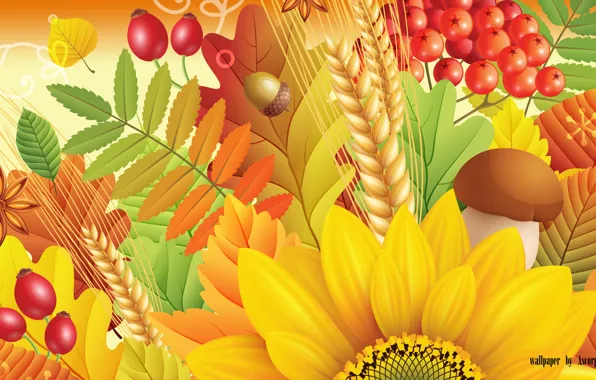 Autumn, leaves, mushrooms, sunflower, briar, Rowan