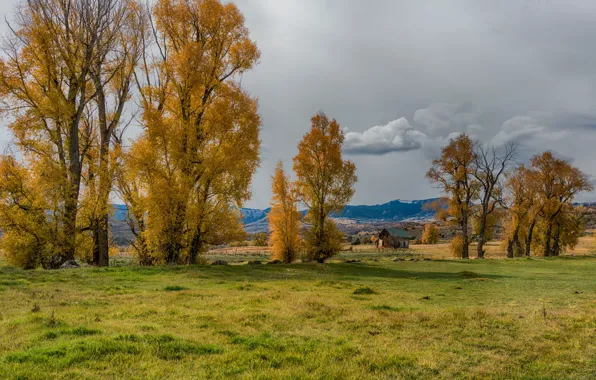 Picture field, autumn, forest, grass, clouds, trees, mountains, house