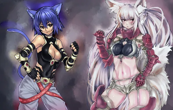 Cats, clothing, Girls, armor, Neko Girls
