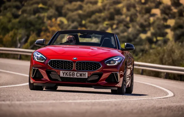 Picture red, BMW, Roadster, front view, BMW Z4, M40i, Z4, 2019