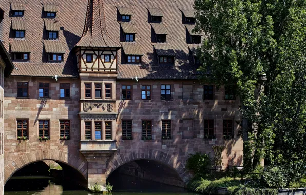 Picture trees, house, river, the building, Germany, channel, Nuremberg, River Pegnitz