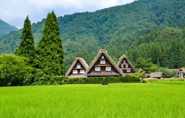 Summer, landscape, nature, hills, home, Japan, town, forest