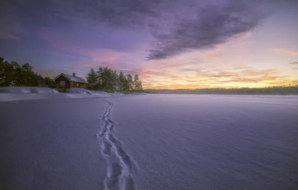 Winter, snow, traces, lake, house, Norway, Norway, RINGERIKE