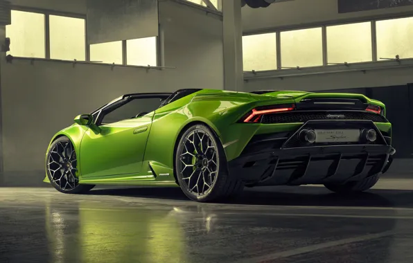 Lamborghini, rear view, Spyder, Evo, Huracan, 2019, Lamborghini Huracan Evo