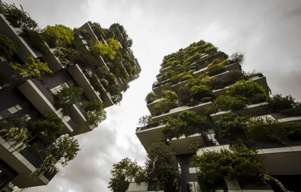 The sky, overcast, mediocrity, building, plants