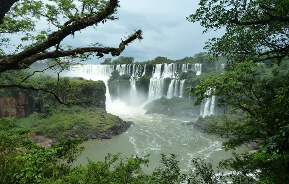 Waterfall, Nature, jungle, jungle, nature, waterfalls