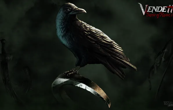 Weapons, Raven, flag, TopWare Interactive, Vendetta - Curse of Raven's Cry, Digital Deluxe Edition, Exclusive …