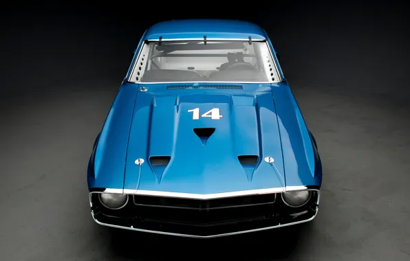 Picture Shelby, blue, GT350, 1969 Shelby GT350
