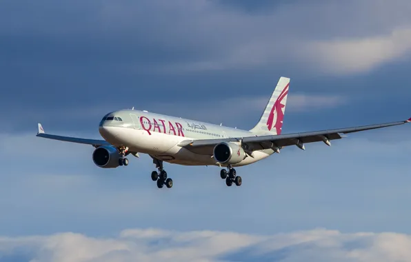 Picture liner, Airbus, Qatar Airways, A330-202