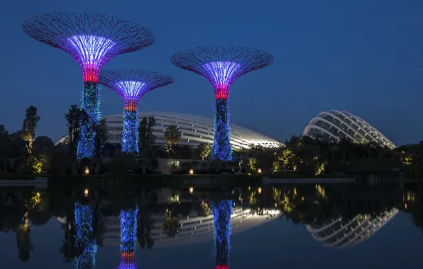 Picture sea, trees, garden, Singapore, Gardens By the Bay