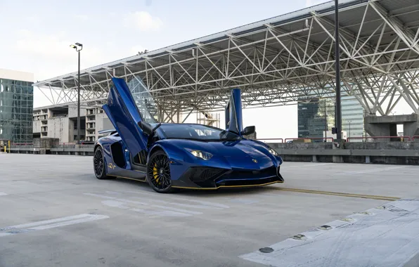 Lamborghini, Blue, Aventador, SV