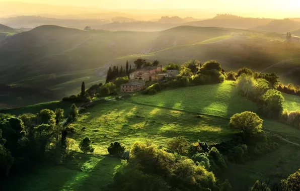 Greens, landscape, nature, Italy, Tuscany