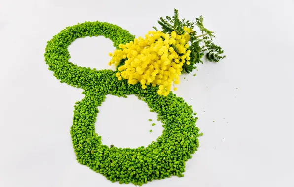 Flowers, yellow, green, March 8, women's day, Mimosa