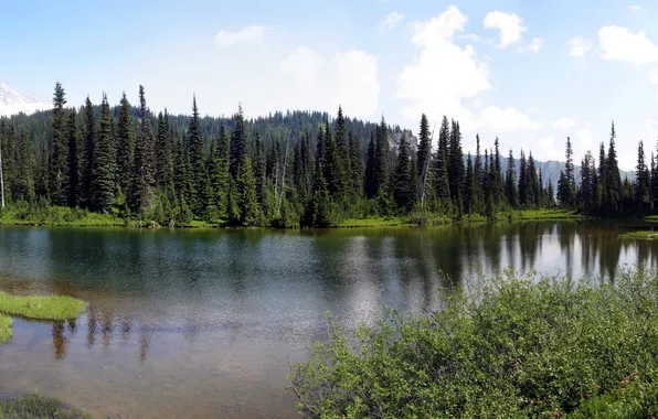 Nature, lake, Park, photo, USA, Washington, Mount Rainier