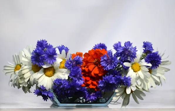 Picture flowers, holiday, bouquet, flag, Russia, the day of Russia