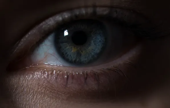 Eyes, blue, the pupil