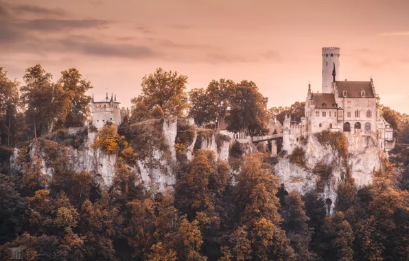 Autumn, forest, trees, bridge, rock, castle, Germany, fortress