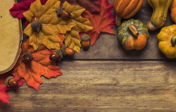 Autumn, leaves, background, tree, Board, colorful, pumpkin, maple