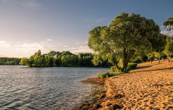 Summer, landscape, nature, lake, beauty