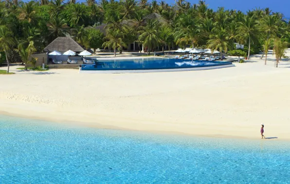 Beach, water, girl, transparency, palm trees, the ocean, pool, resort