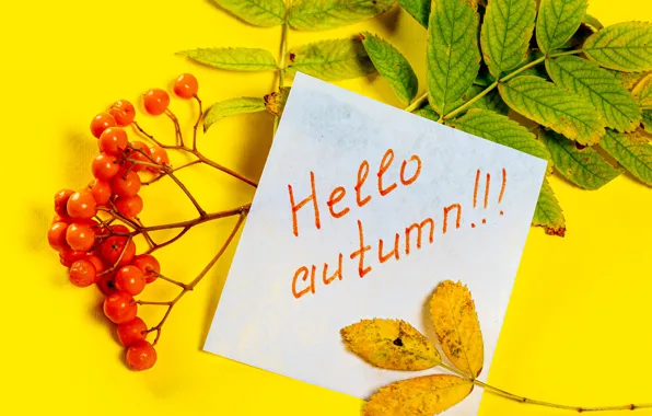 Picture autumn, the inscription, leaf, branch, Rowan, postcard