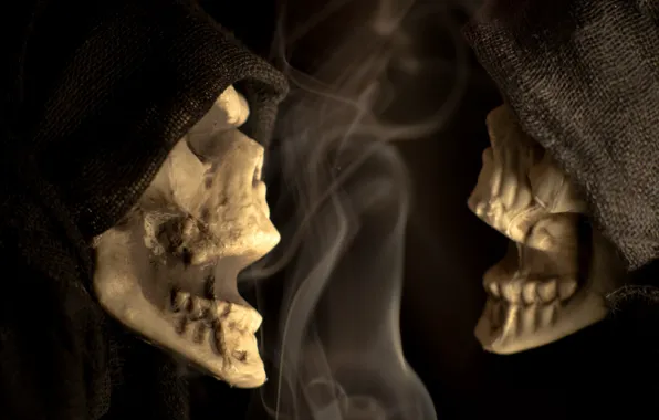 Halloween, macro, scary, Skeleton Chatter, Skeleton