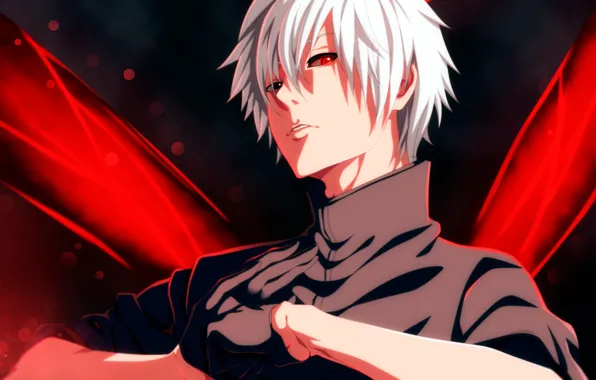 Tokyo Ghoul, Tokyo Ghoul, The Kaneko Ken