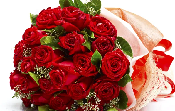 Picture flowers, roses, bouquet, red, red, buds, flowers, romantic