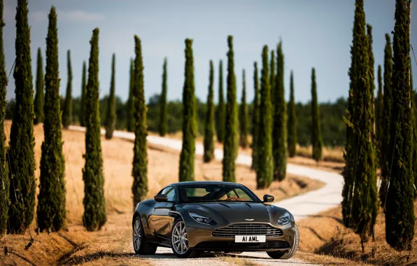 Road, machine, auto, the sky, trees, Aston Martin, supercar, handsome