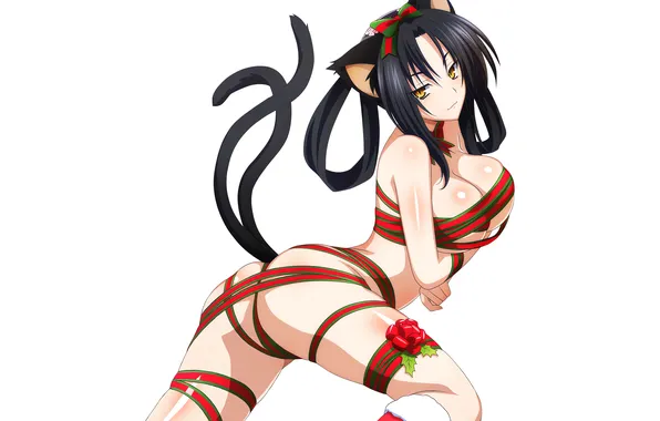 Girl, sexy, ass, long hair, legs, boobs, animal ears, sexy girl