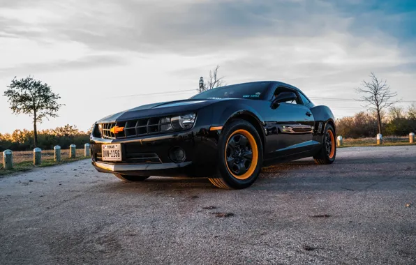 Picture Chevrolet, Camaro, Orange, Black, Texas, Wheels