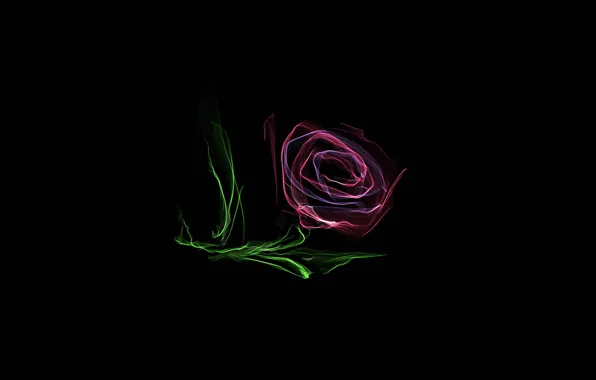 Picture leaves, line, flowers, roses