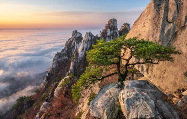 Picture clouds, landscape, mountains, nature, stones, tree, morning, pine