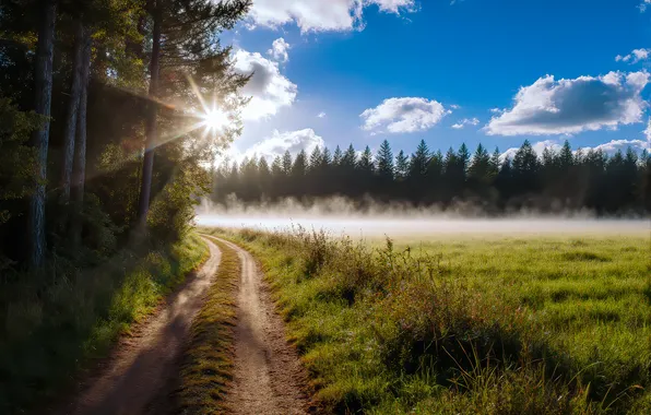 Picture road, forest, clouds, meadow