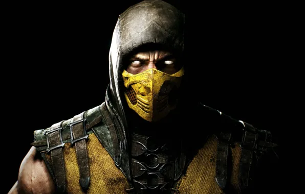 Picture look, mask, hood, fighter, Scorpio, ninja, Warner Bros. Interactive Entertainment, NINJA