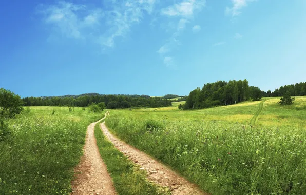 Road, field, the sky, grass, clouds, trees, grass, road