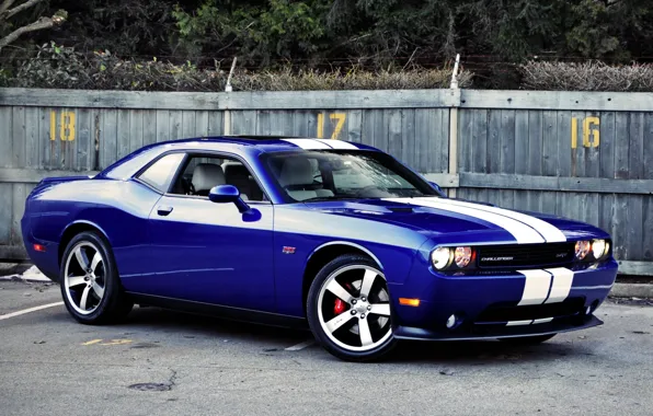 Blue, Dodge, Dodge, SRT8, Challenger, the front, Muscle car, 392