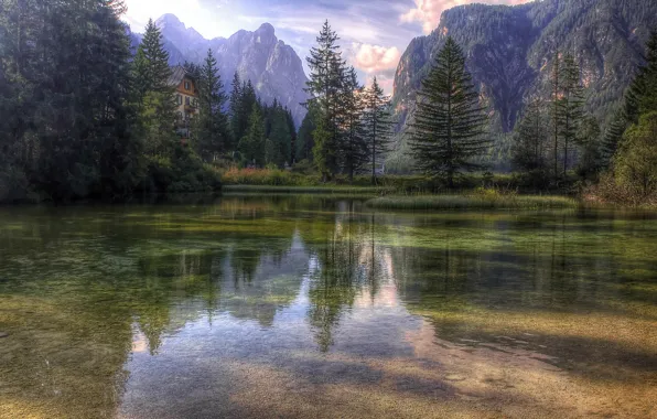 Picture trees, mountains, reflection