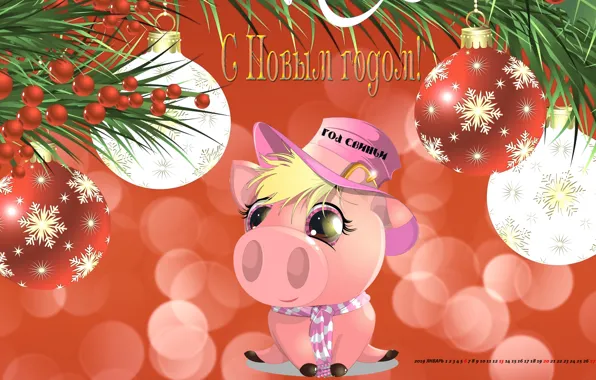 Hat, pig, pig, calendar for 2019