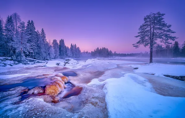 Winter, snow, trees, river, Finland, Finland, Kiiminki River River, river Kiiminkijoki