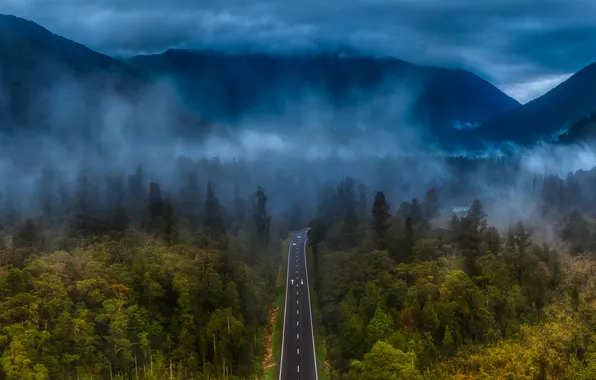 Road, forest, trees, mountains, fog, the evening, highway, New Zealand