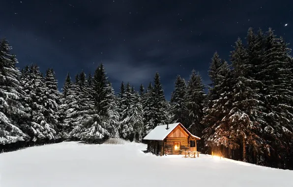 Winter, forest, the sky, stars, light, snow, trees, night