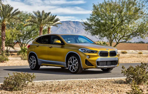 Picture BMW, BMW, crossover, F39, X2 M