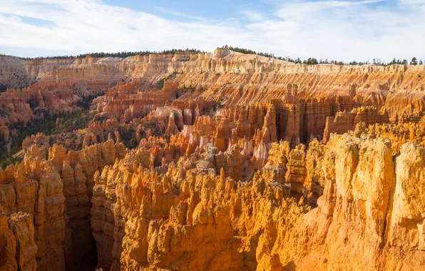 Picture sky, trees, landscape, nature, clouds, canyon, sunlight